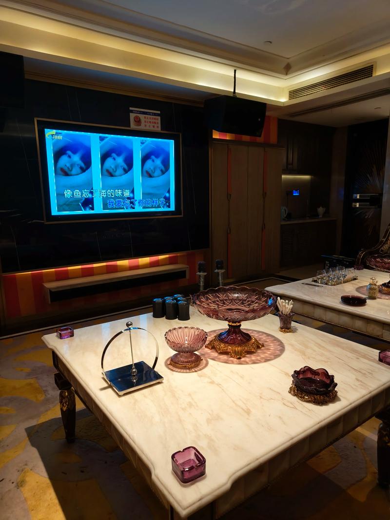 抚州商务ktv新模式-金溪县ktv预定